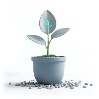 Planta